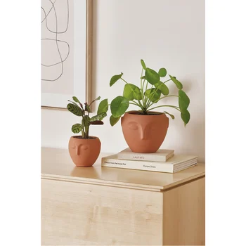 Conjunto Cachepot Em Cimento Face (normal)