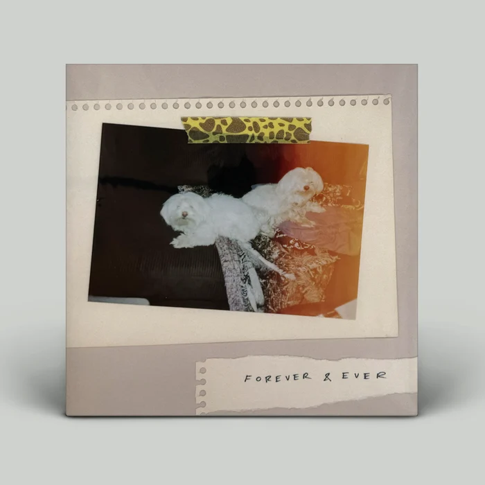 Sales - Forever & Ever (big)